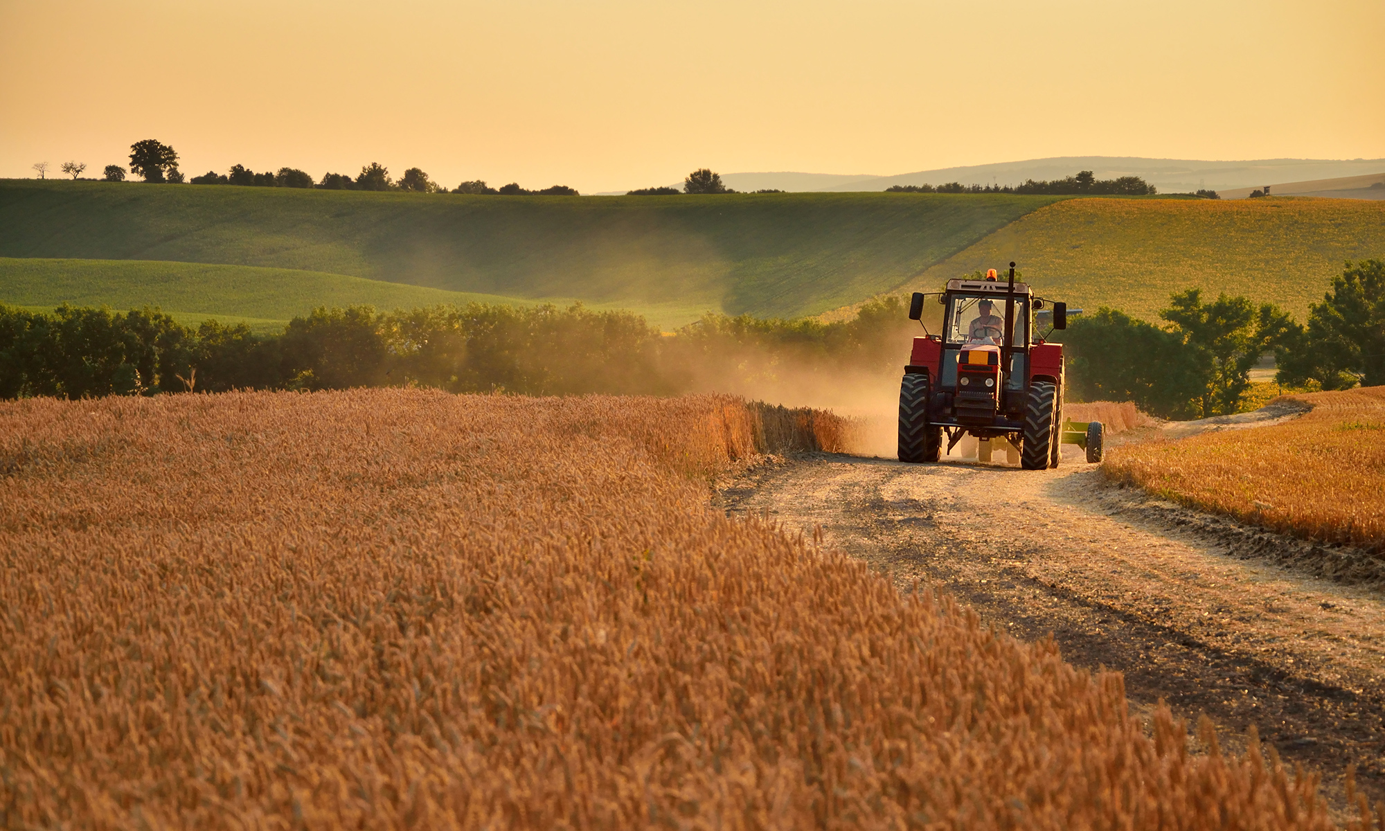 Agriculture